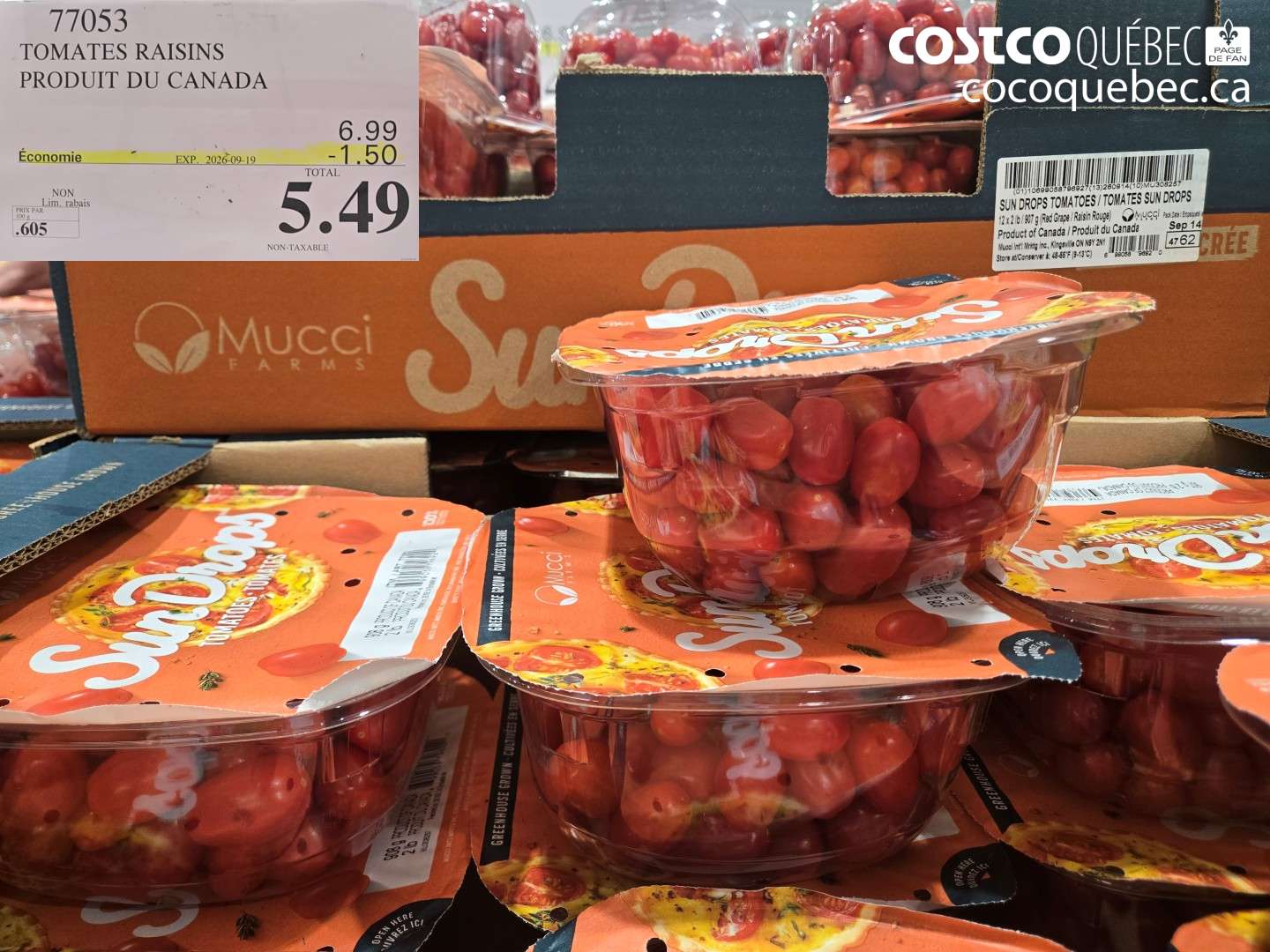 77053 TOMATES RAISINS PRODUIT DU CANADA ($1.50 INSTANT SAVINGS EXPIRES ON 2026-09-19) $5.49