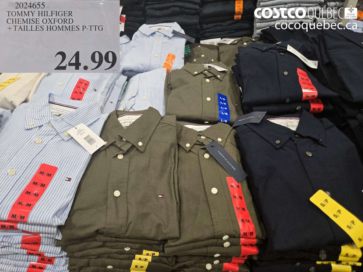 2024655 TOMMY HILFIGER CHEMISE OXFORD + TAILLES HOMMES P-TTG $24.99