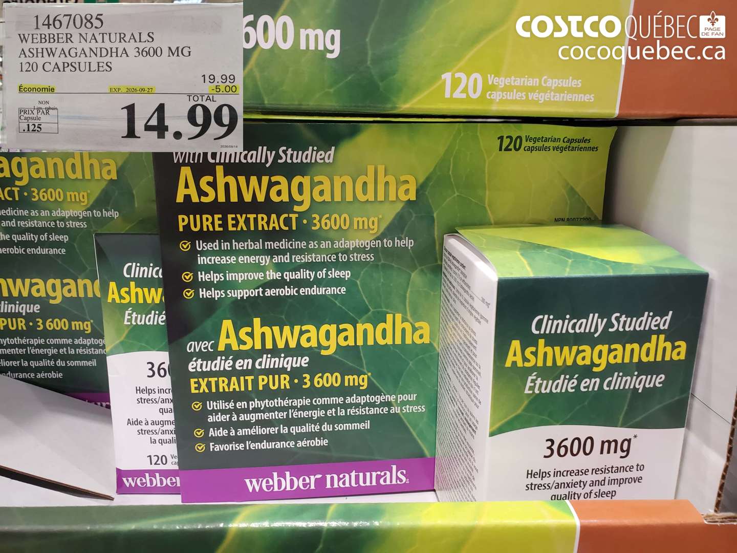 1467085 WEBBER NATURALS ASHWAGANDHA 3600 MG 120 CAPSULES ($5.00 INSTANT SAVINGS EXPIRES ON 2026-09-27) $14.99