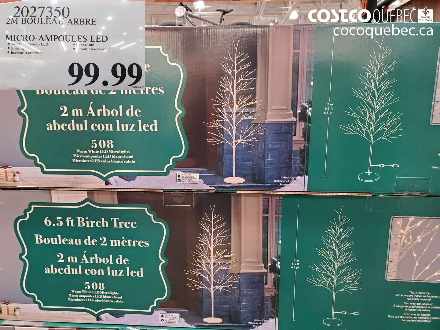 2027350 2M BOULEAU ARBRE MICRO-AMPOULES LED $99.99