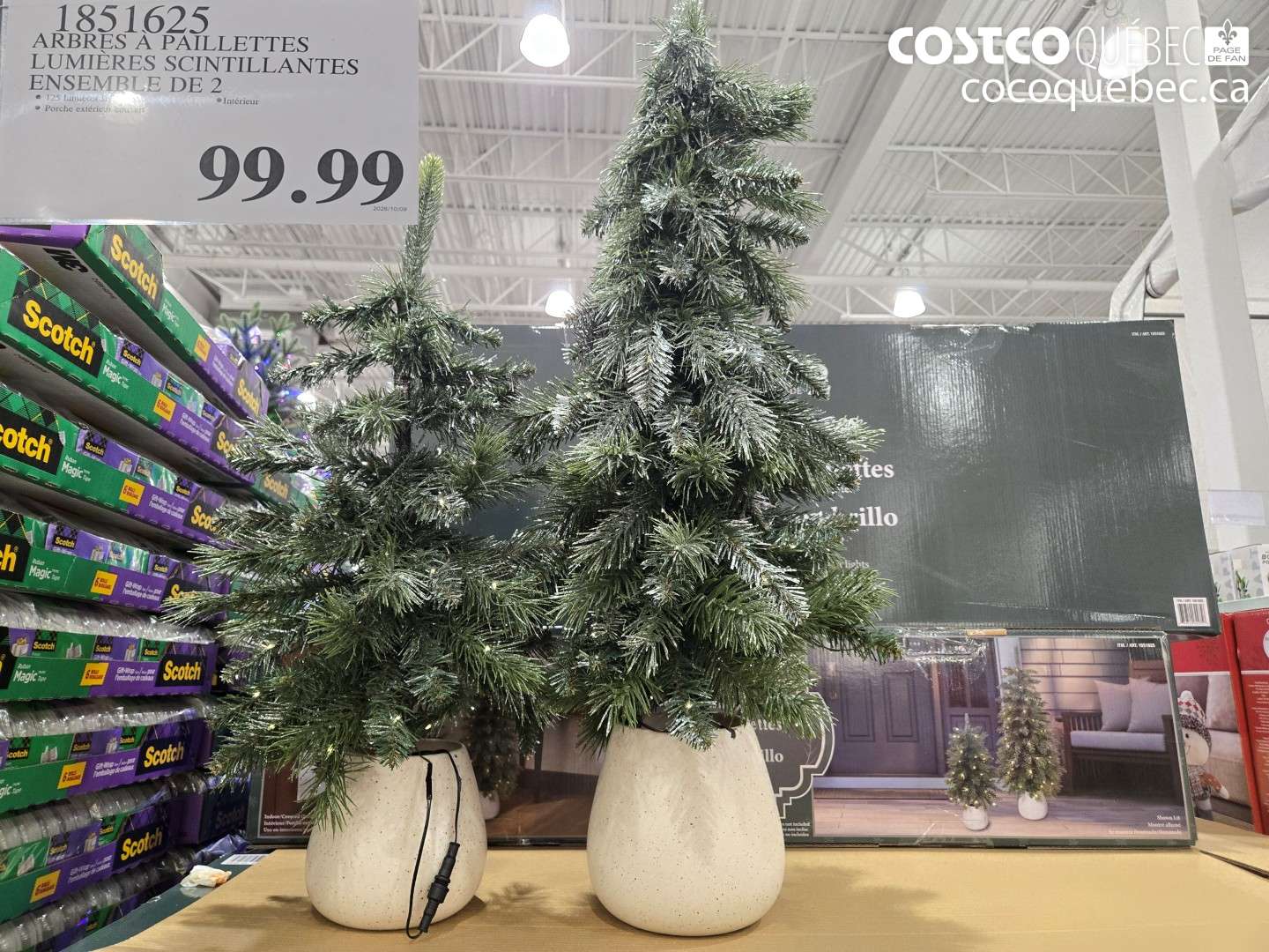 1851625 ARBRES À PAILLETTES LUMIÈRES SCINTILLANTES ENSEMBLE DE 2 $99.99