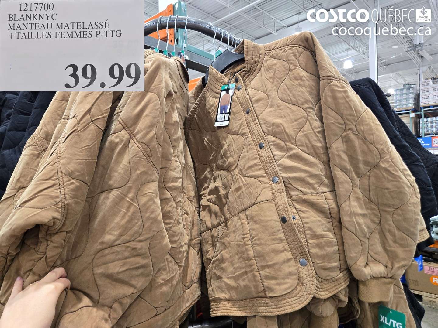 1217700 BLANKNYC MANTEAU MATELASSÉ + TAILLES FEMMES P-TTG $39.99