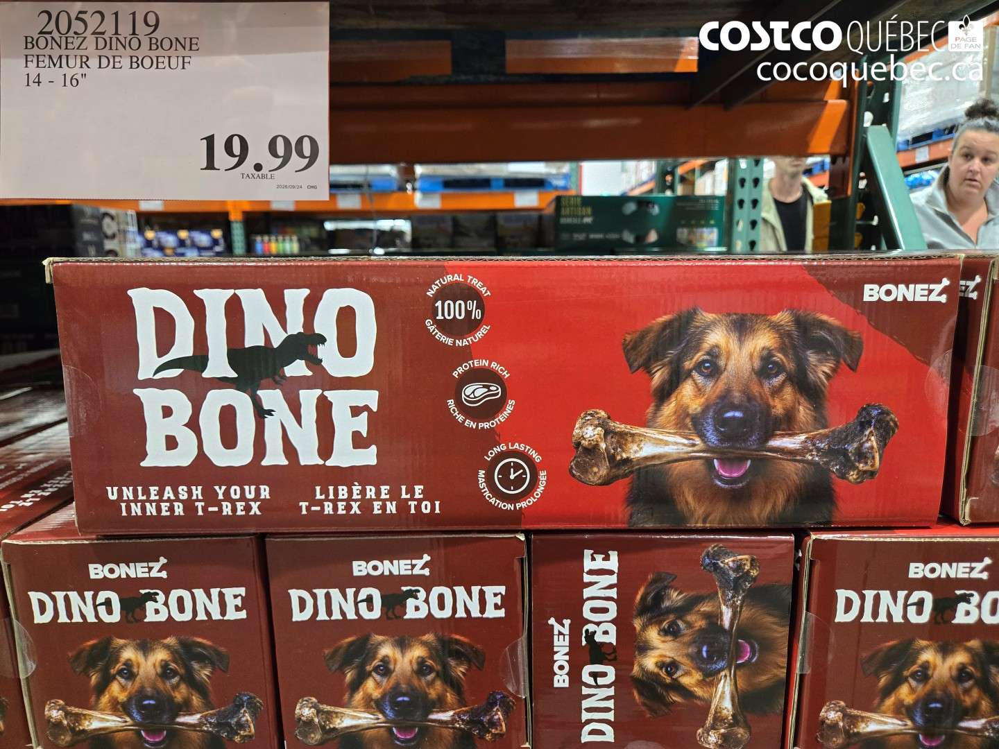 2052119 BONEZ DINO BONE FEMUR DE BOEUF 14 - 16