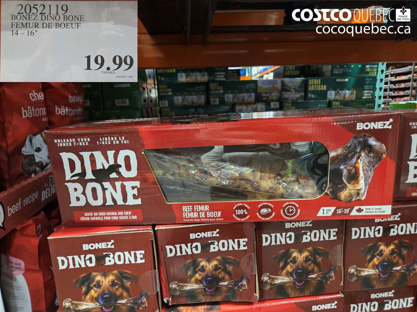 2052119 BONEZ DINO BONE FEMUR DE BOEUF $19.99