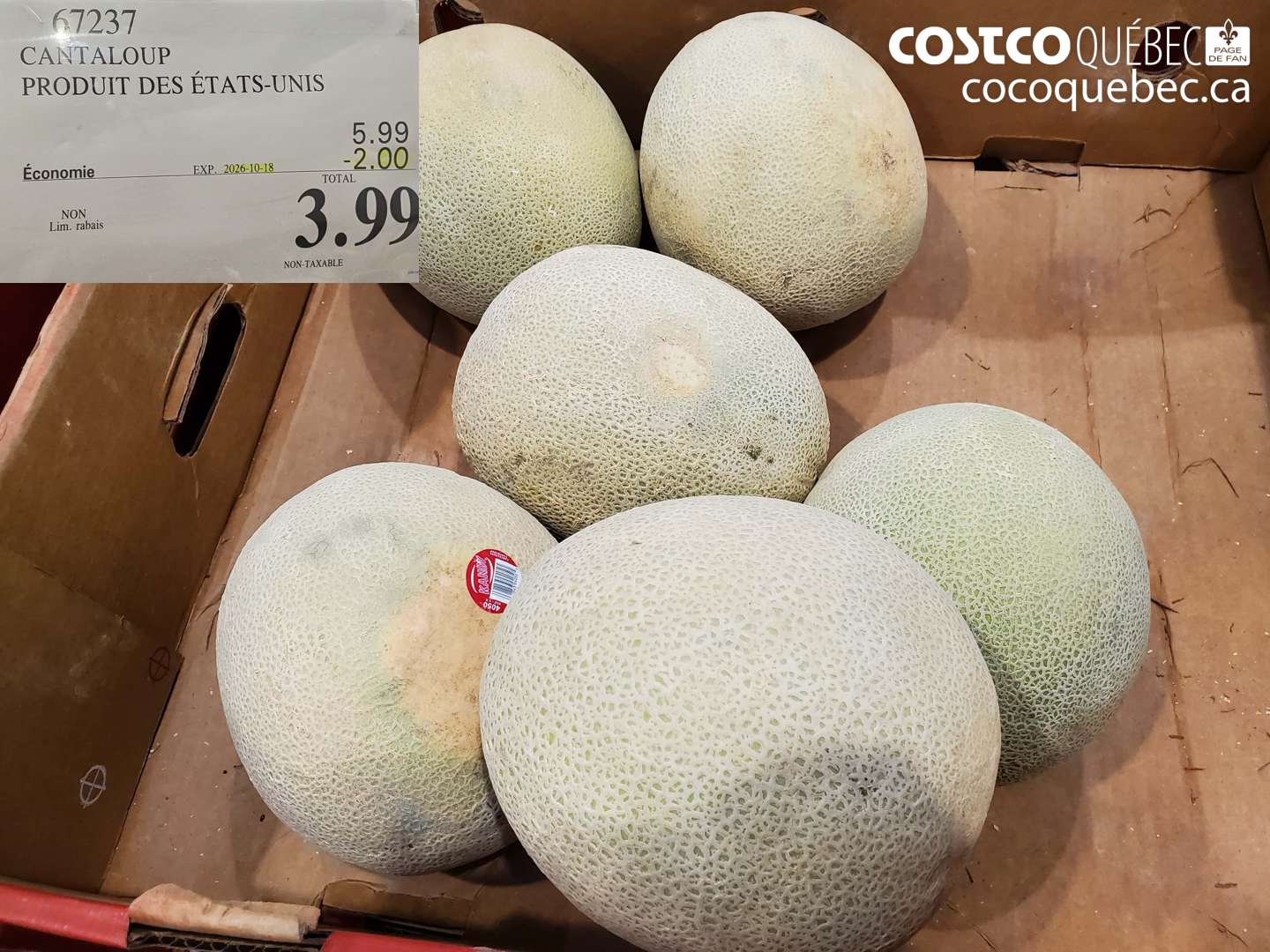 67237 CANTALOUP ($2.00 INSTANT SAVINGS EXPIRES ON 2026-10-18) $3.99
