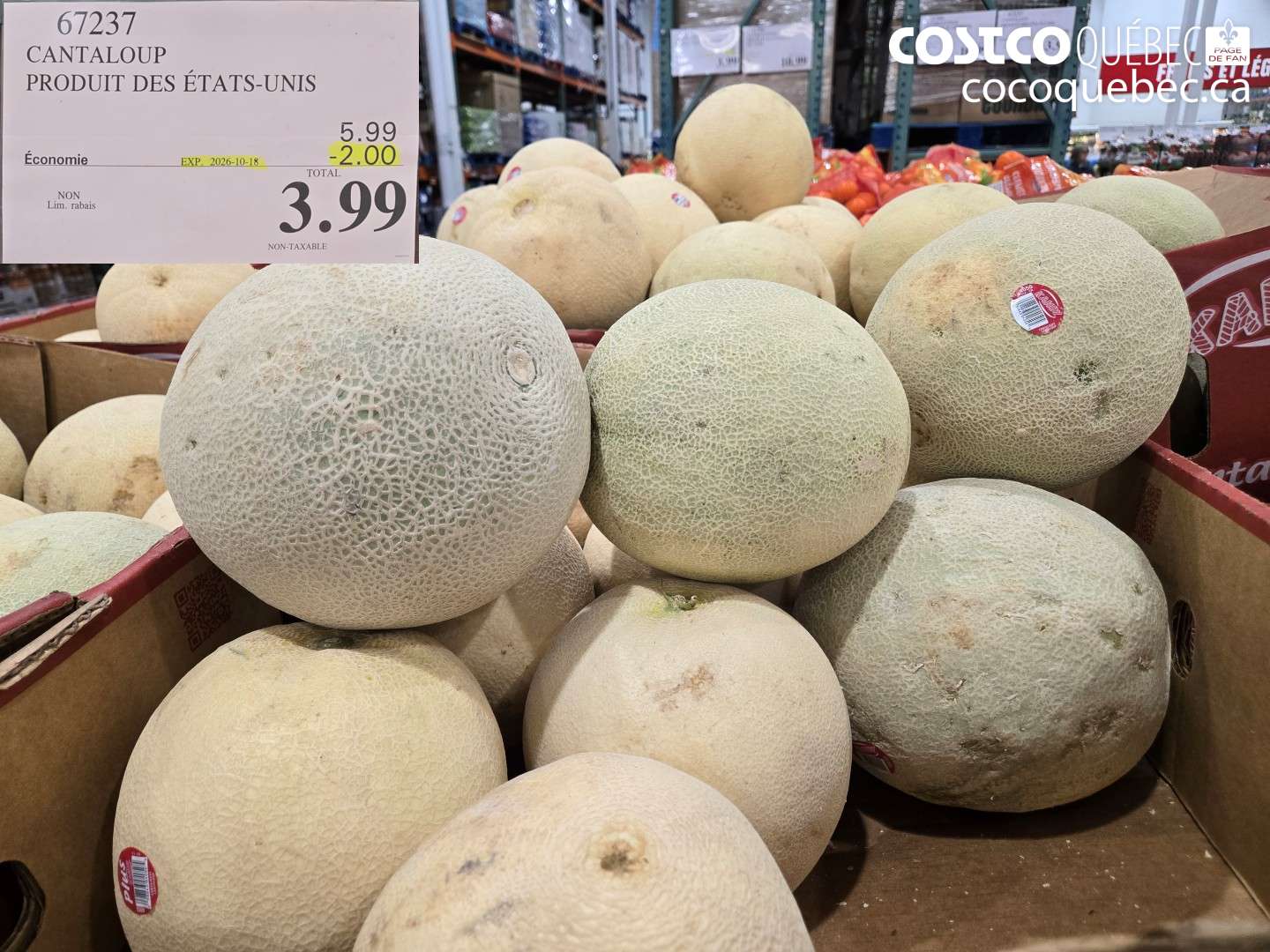 67237 CANTALOUP ($2.00 INSTANT SAVINGS EXPIRES ON 2026-10-18) $3.99