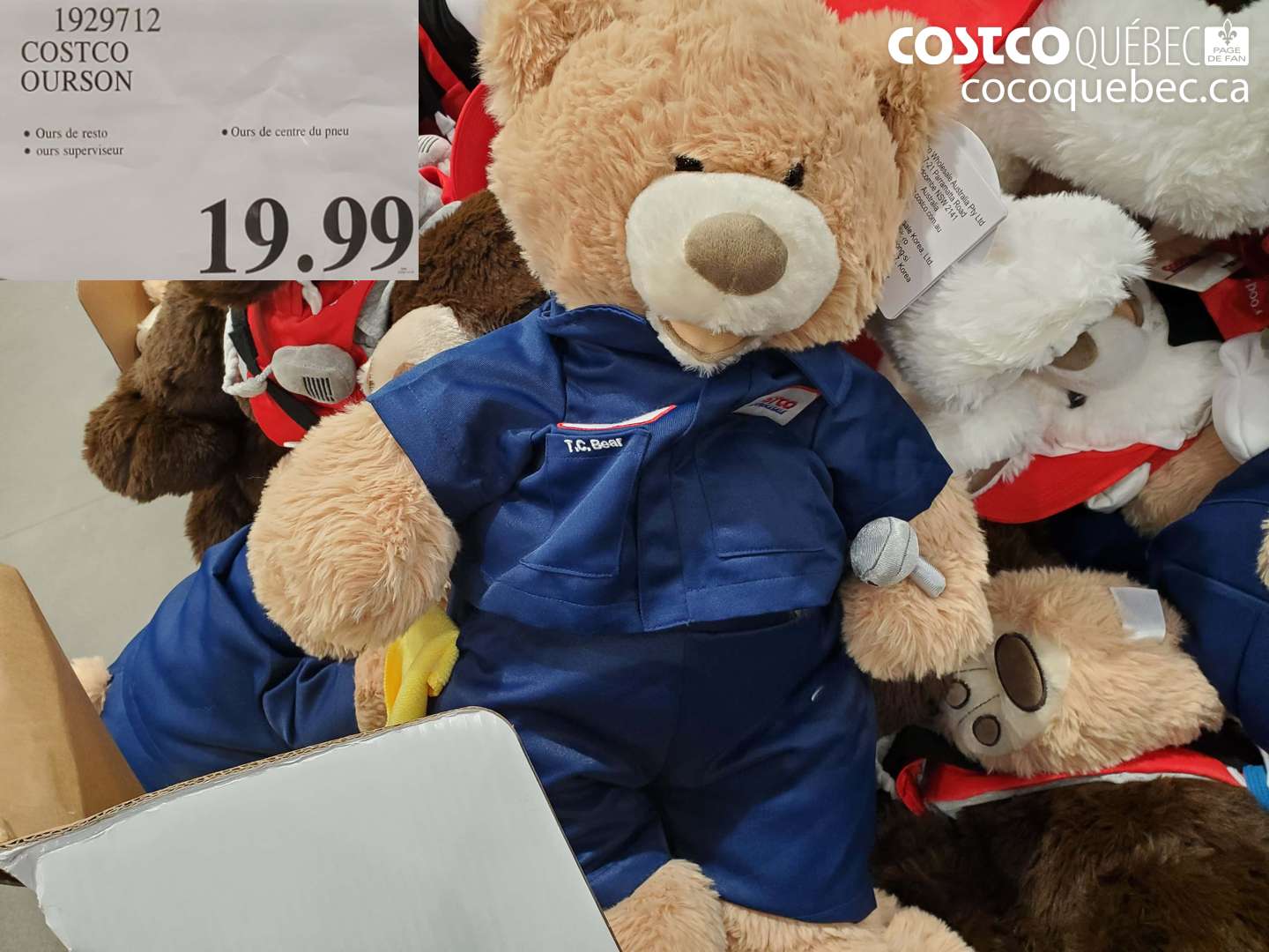 1929712 COSTCO OURSON $19.99