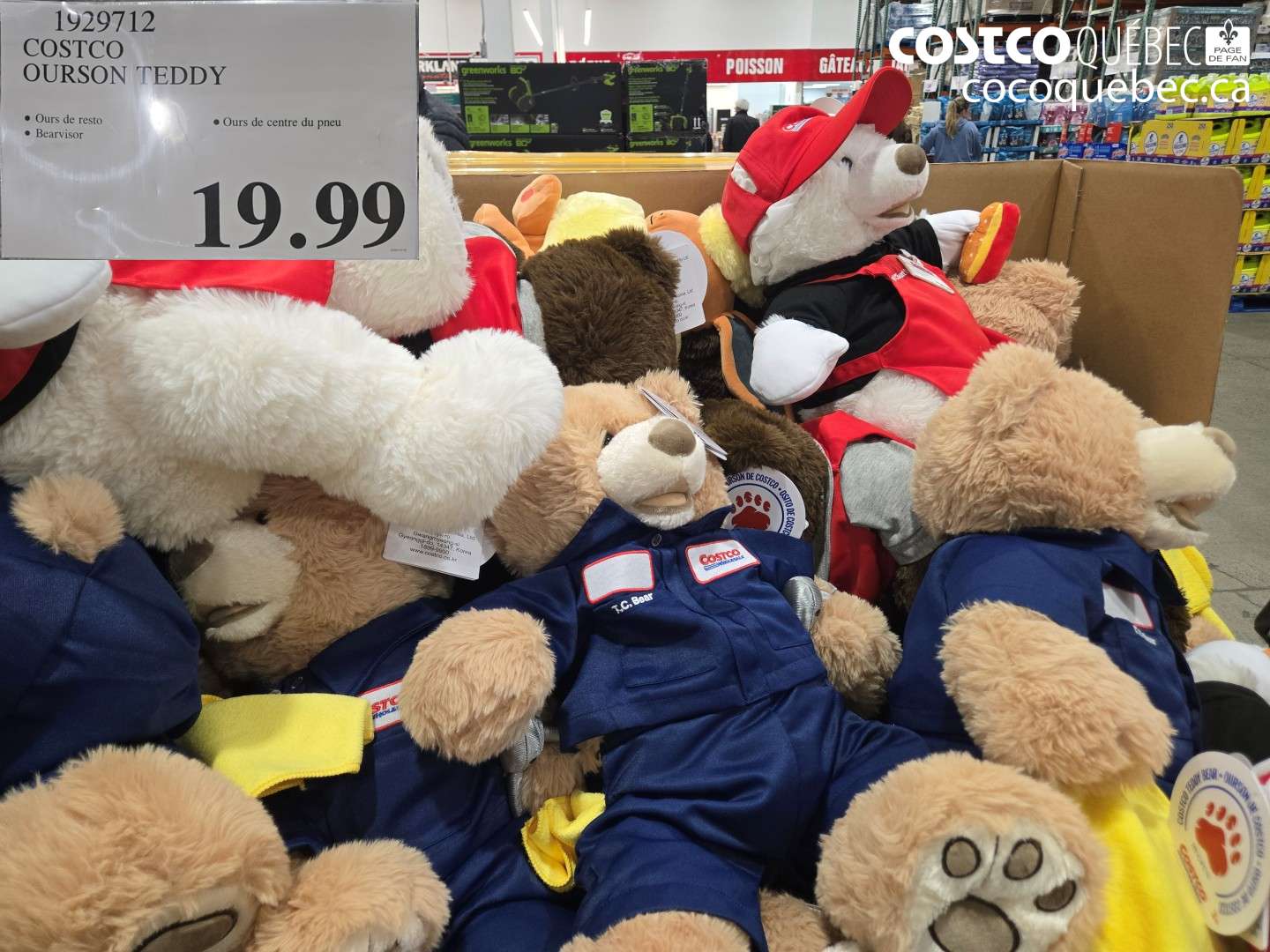 1929712 COSTCO OURSON TEDDY $19.99