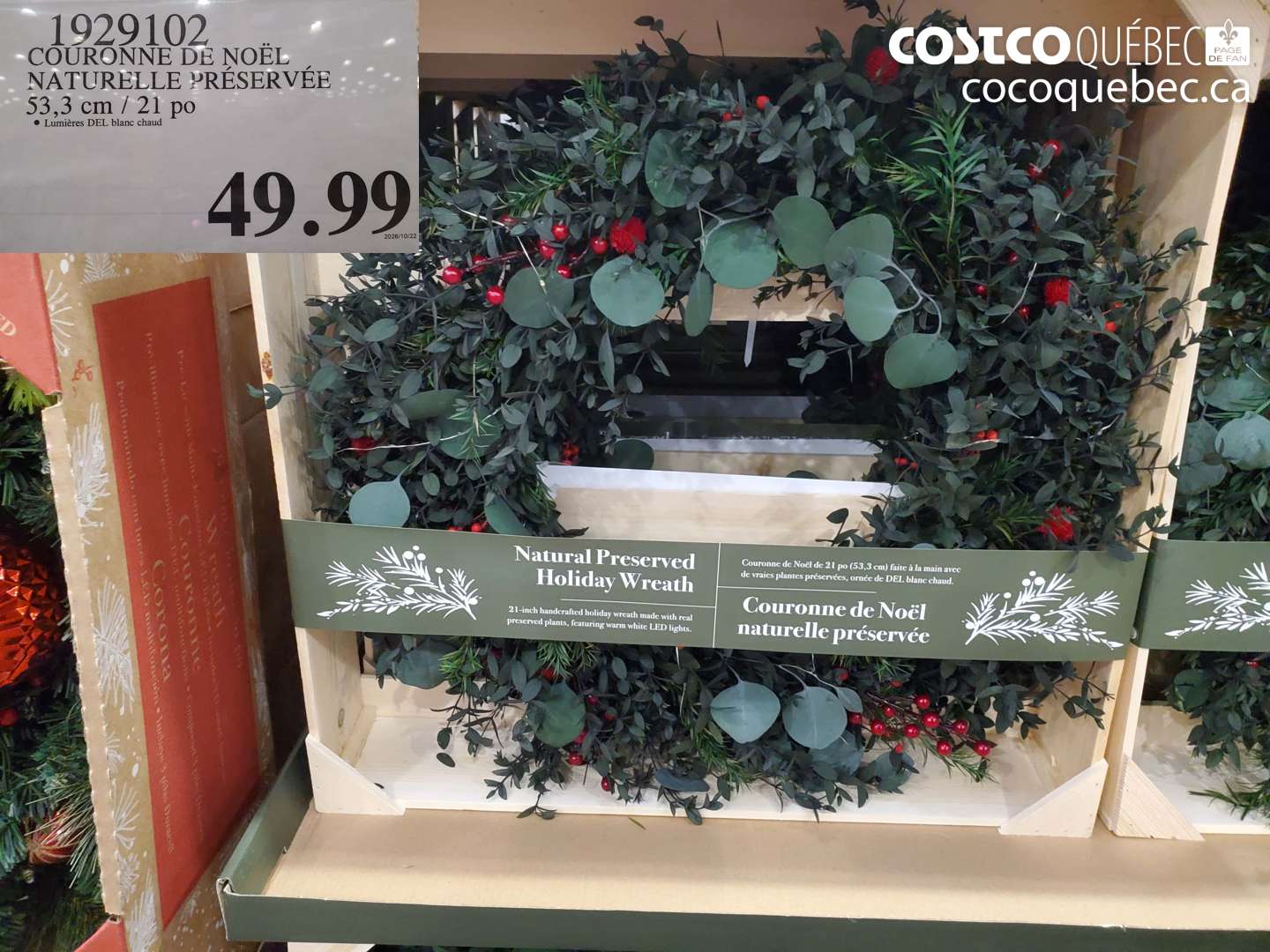 1929102 COURONNE DE NOËL NATURELLE PRÉSERVÉE 53.3 CM / 21 PO $49.99