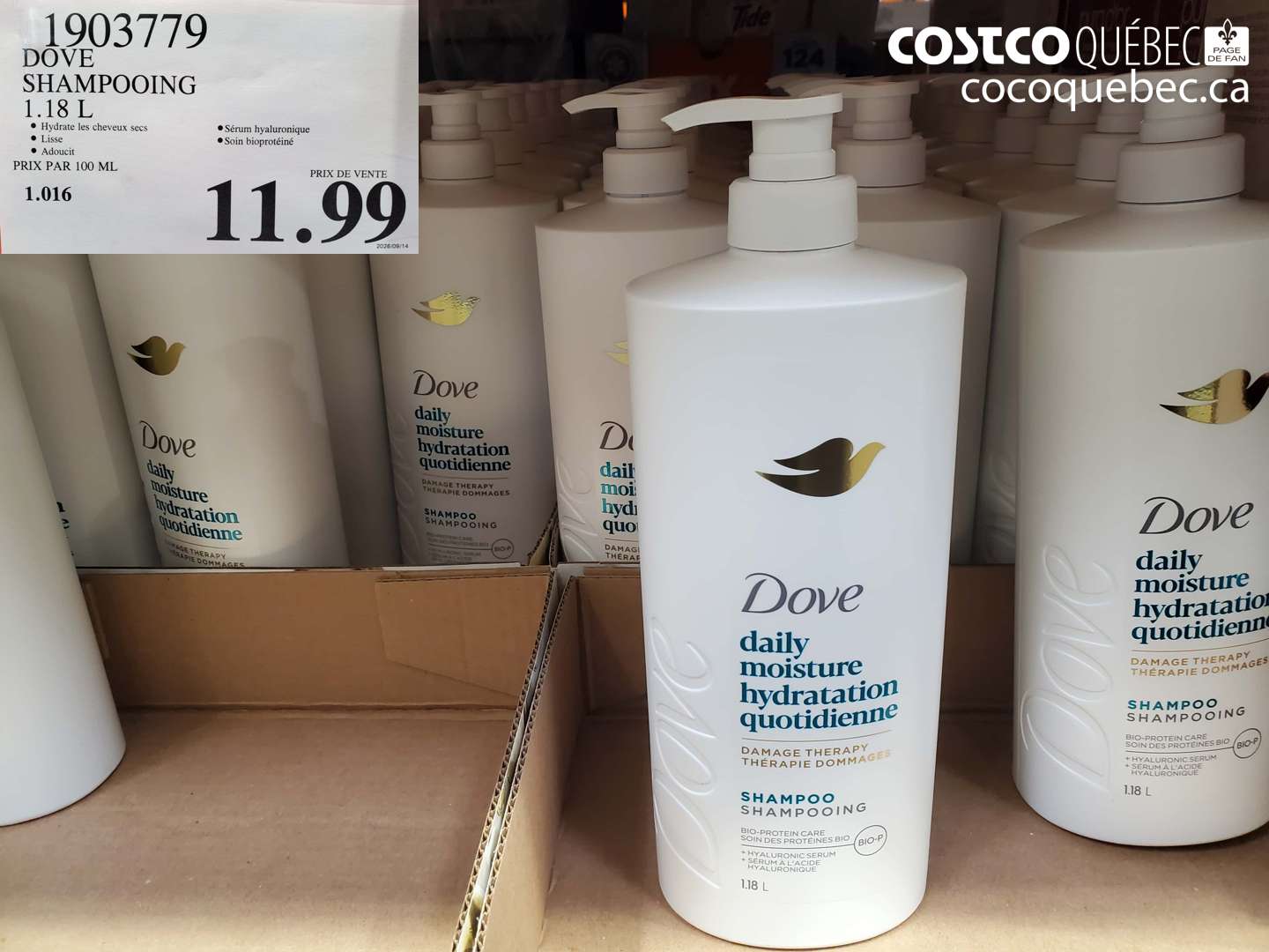 1903779 DOVE SHAMPOOING 1.18 L $11.99