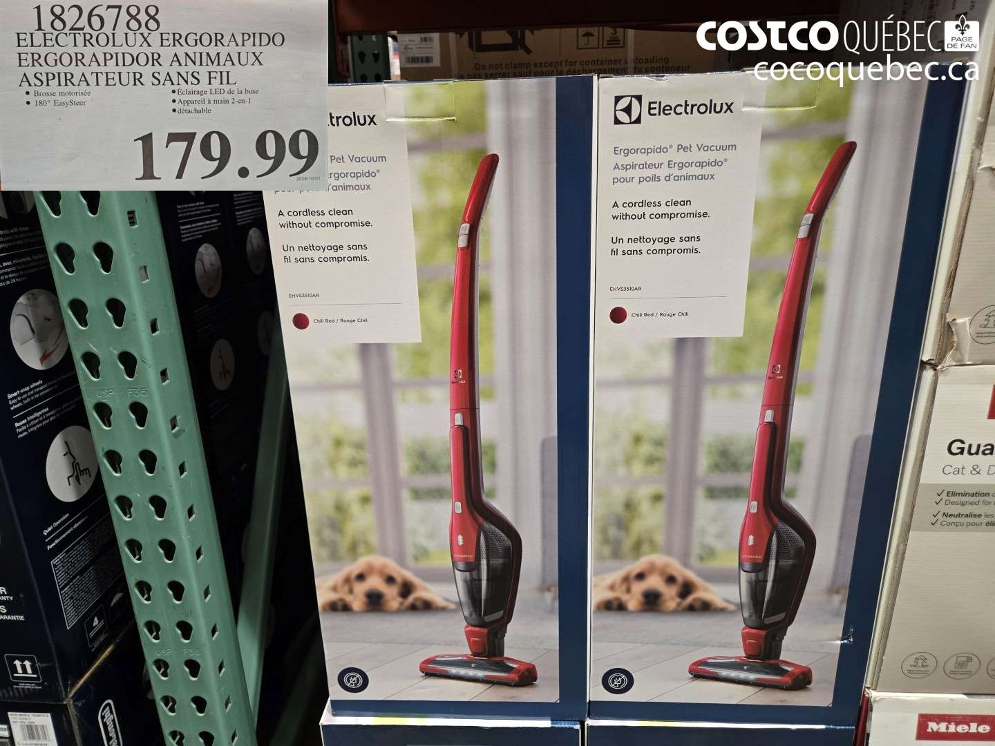 1826788 ELECTROLUX ERGORAPIDO ERGORAPIDOR ANIMAUX ASPIRATEUR SANS FIL $179.99