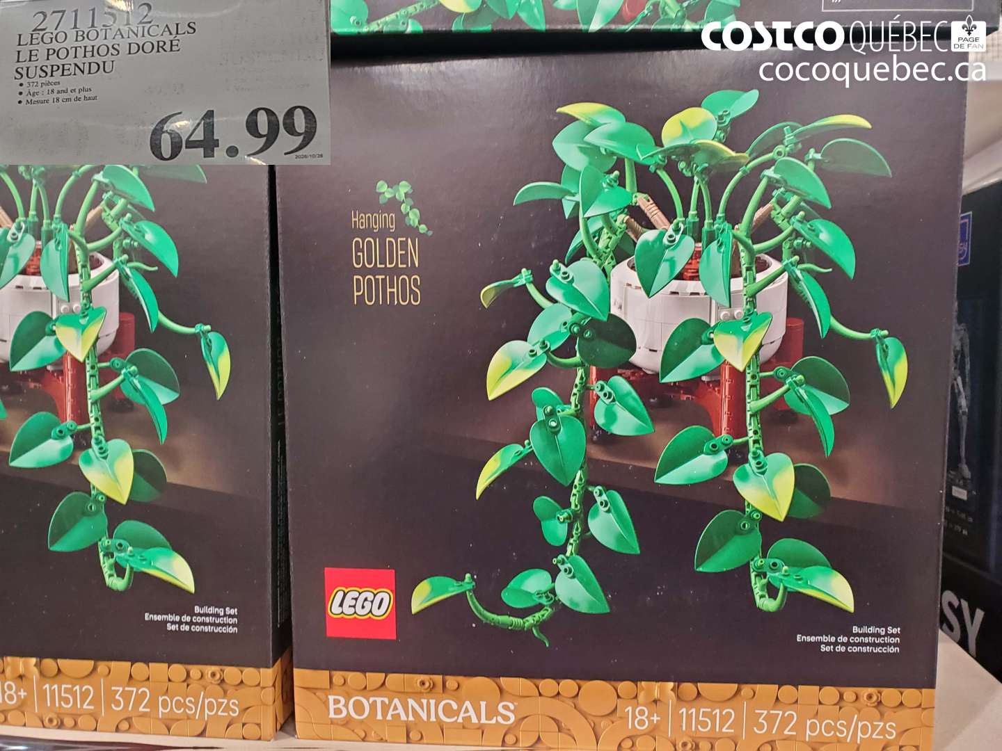 2711512 LEGO BOTANICALS LE POTHOS DORÉ SUSPENDU $64.99