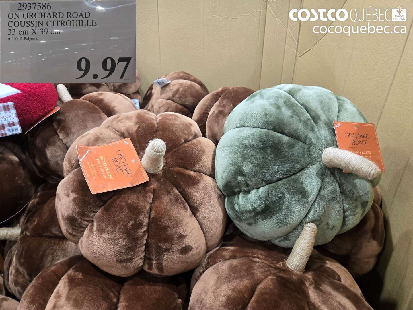 2937586 ON ORCHARD ROAD COUSSIN CITROUILLE 33 CM X 39 CM $9.97