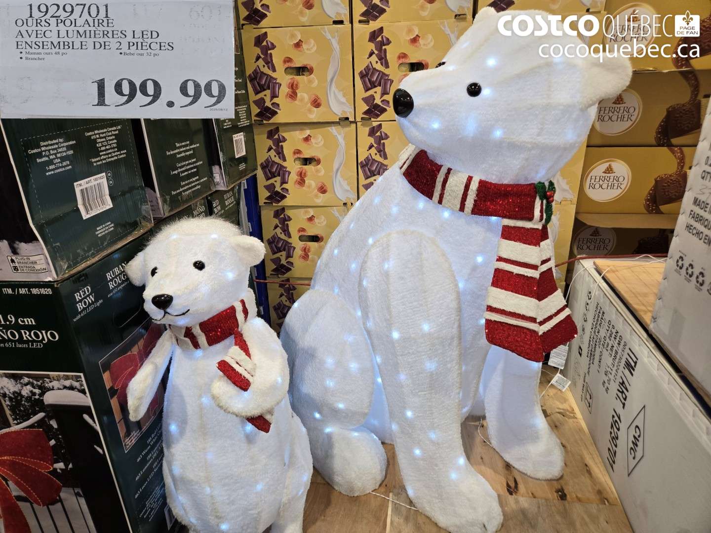 1929701 OURS POLAIRE AVEC LUMIÈRES LED ENSEMBLE DE 2 PIÈCES $199.99