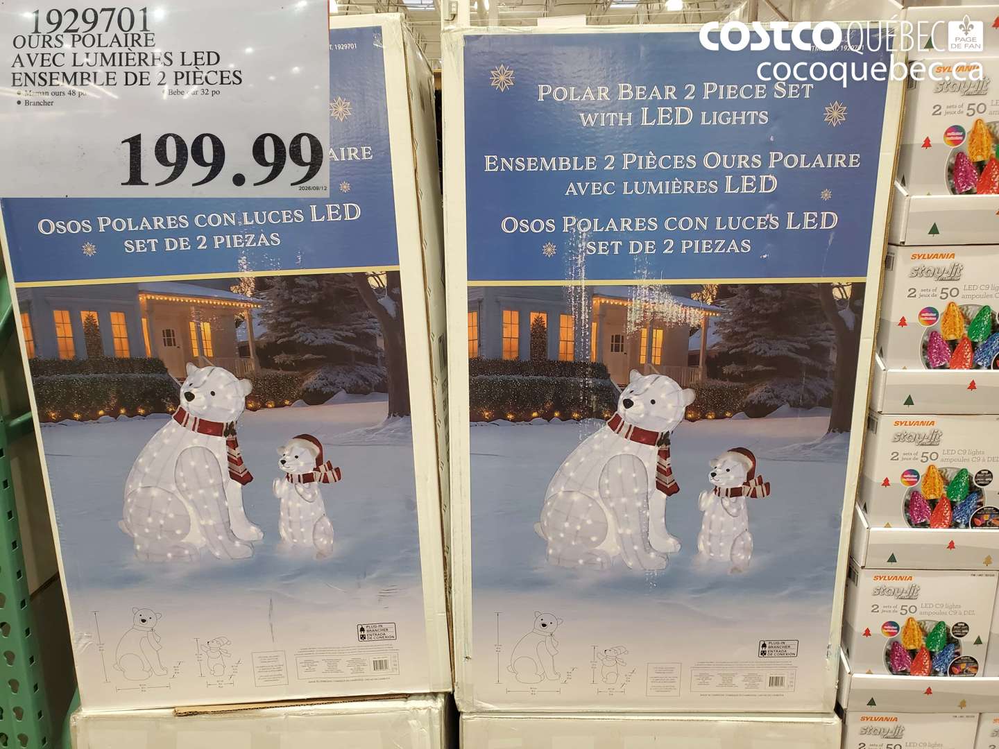 1929701 OURS POLAIRE AVEC LUMIÈRES LED ENSEMBLE DE 2 PIÈCES $199.99