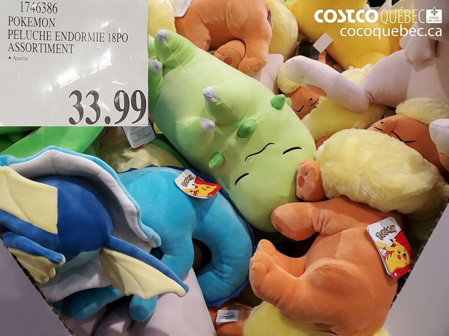 1746386 POKEMON PELUCHE ENDORMIE 18PO ASSORTIMENT $33.99