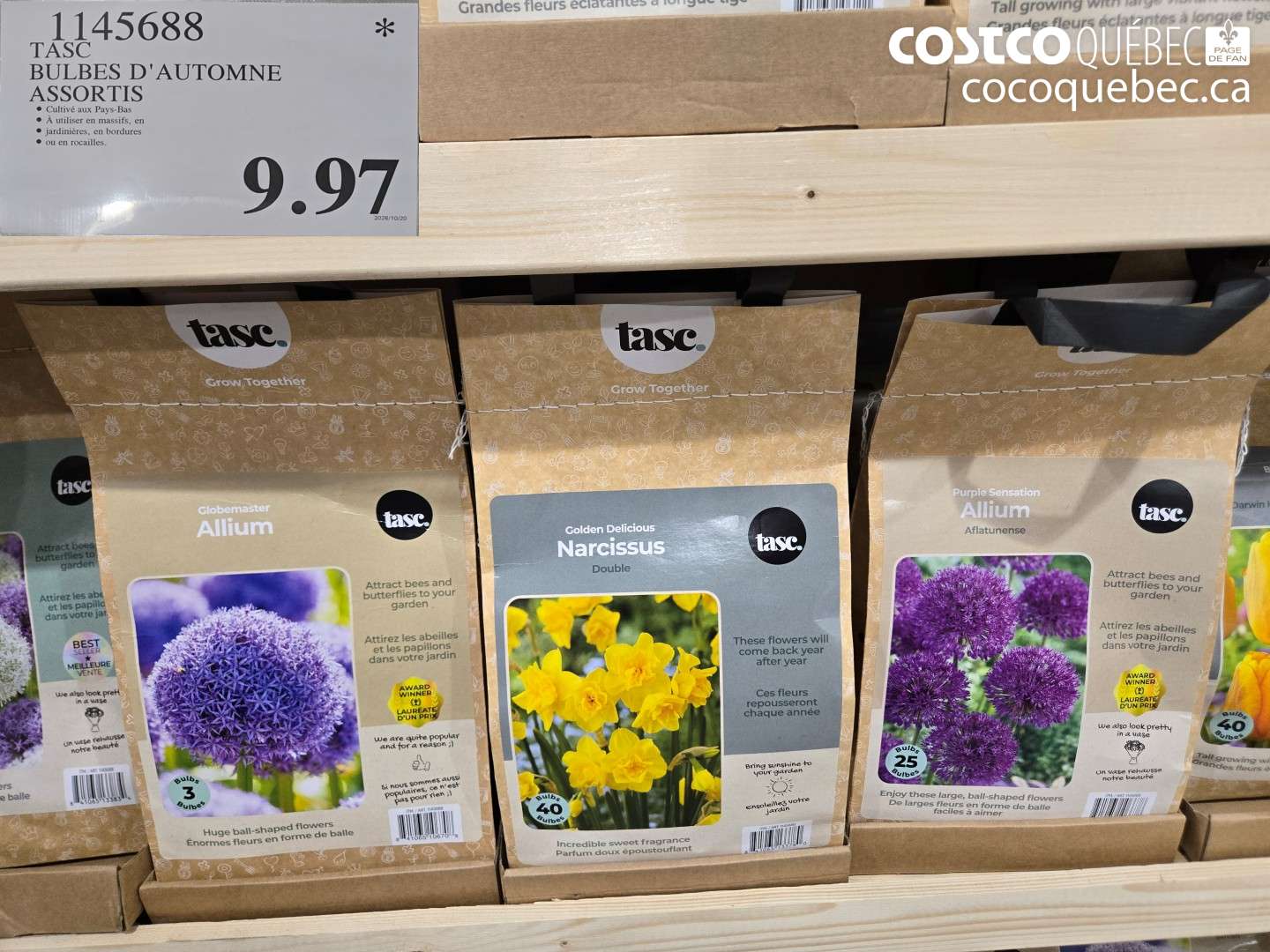 1145688 TASC BULBES D'AUTOMNE ASSORTIS $9.97