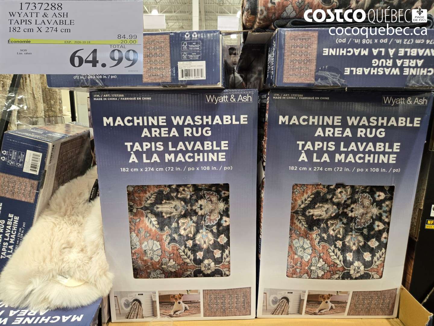 1737288 WYATT & ASH TAPIS LAVABLE 182 CM X 274 CM ($20.00 INSTANT SAVINGS EXPIRES ON 2026-10-18) $64.99
