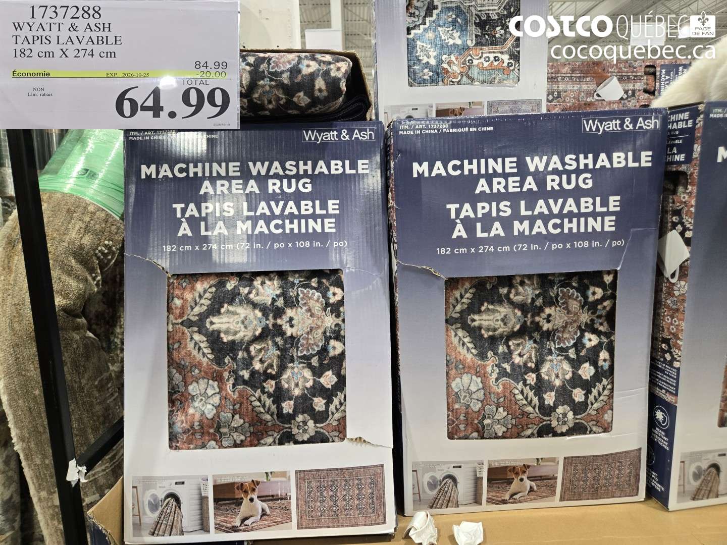 1737288 WYATT & ASH TAPIS LAVABLE 182 CM X 274 CM ($20.00 INSTANT SAVINGS EXPIRES ON 2026-10-25) $64.99