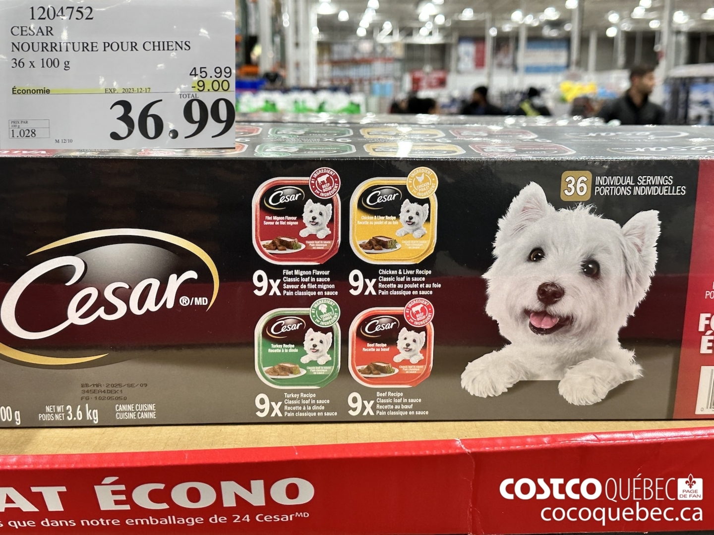 Costco cesar dog food best sale